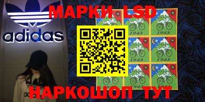 амф Донской