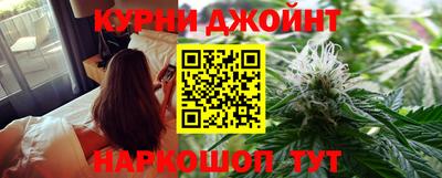 амф Донской
